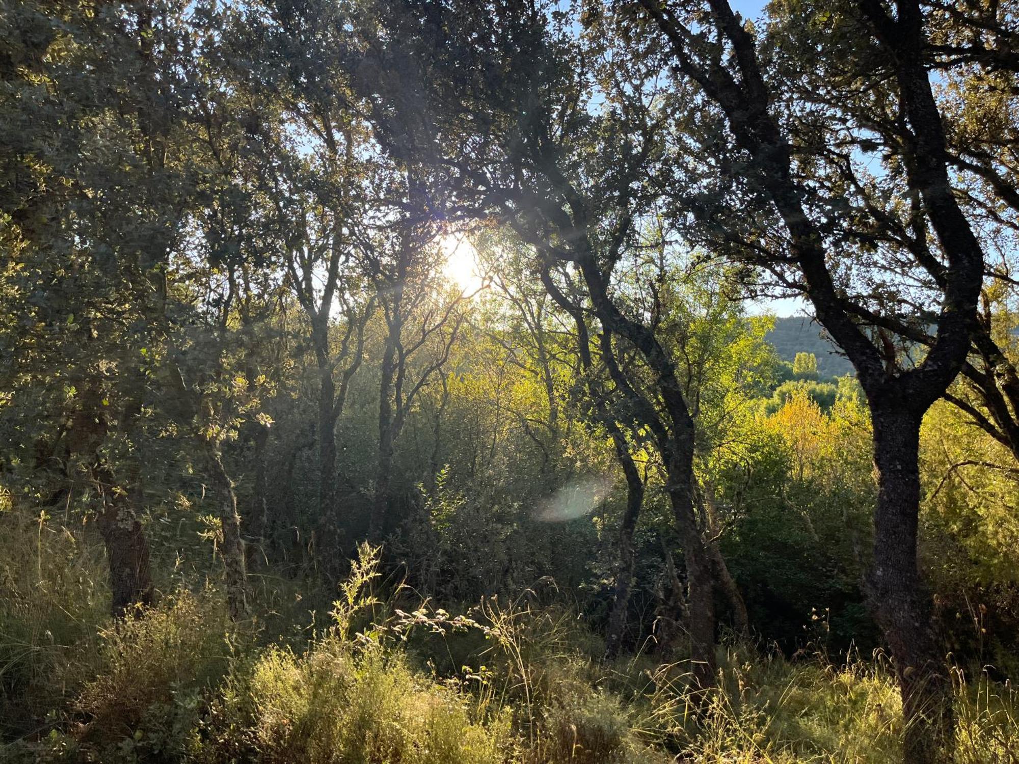 Casa Menta Villa Canicosa Buitenkant foto